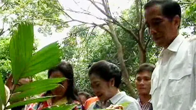 Jokowi dan Mega Tanam Bibit Salak di Condet
