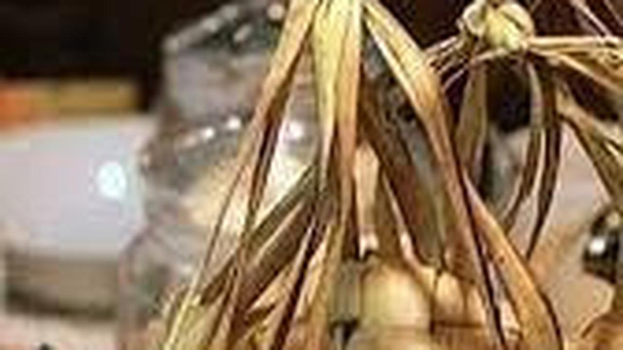 Cara Memasak Ketupat dengan Cepat Hitungan Menit, Hemat Gas dan Waktu