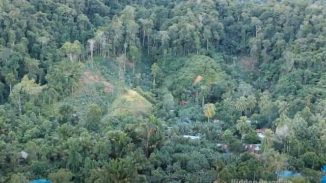 Suaka Margasatwa Mamberamo Foja