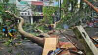 Pohon tumbang di tangerang selatan. (Liputan6.com/Pramita Tristiawati)