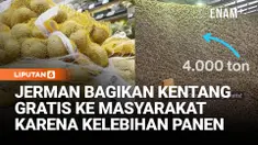 Ada 4.000 ton kentang gratis di Berlin, Jerman yang beratnya setara dengan berat 800 gajah dewasa. Karena panen kentang Jerman tahun 2025 terlalu bagus, stoknya jadi melimpah.