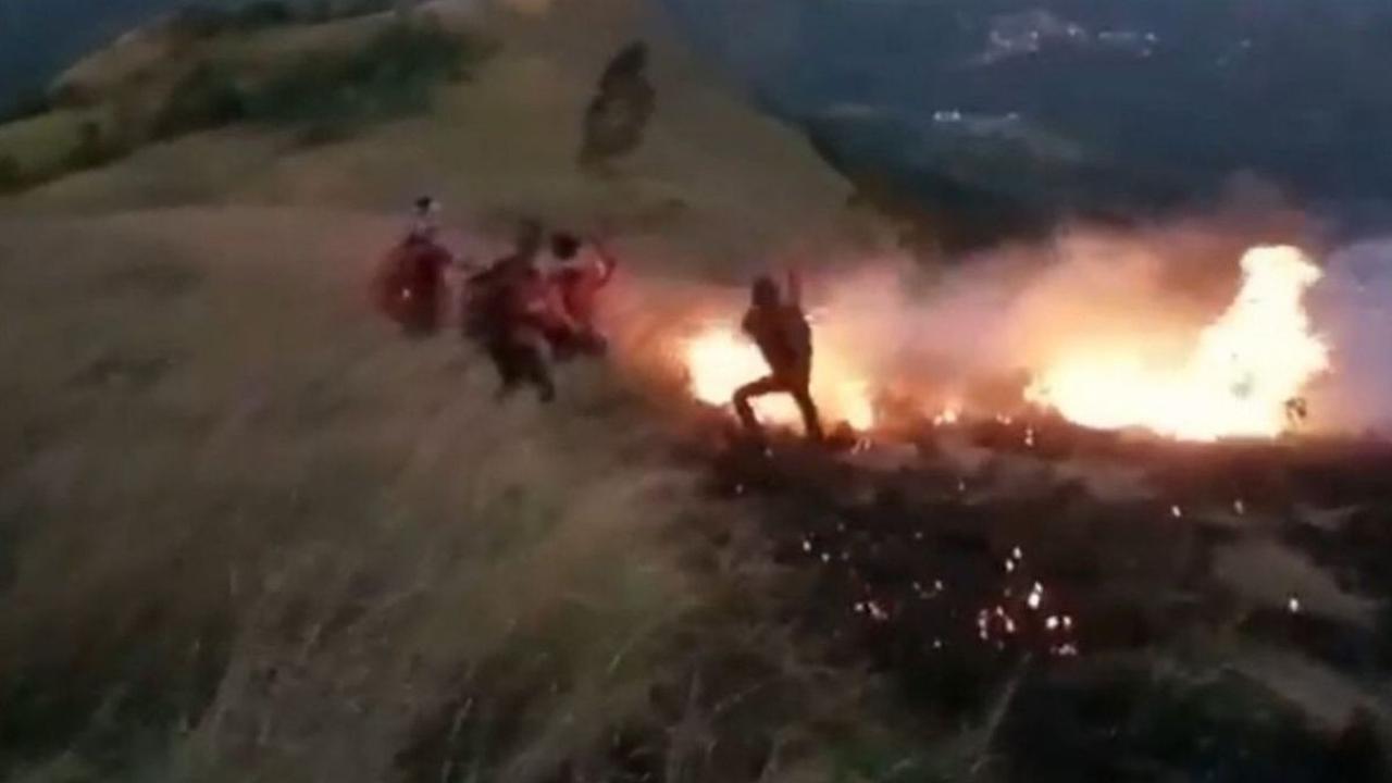 -Pemburu Madu Biang Keladi  Kebakaran Gunung Bekel<br>