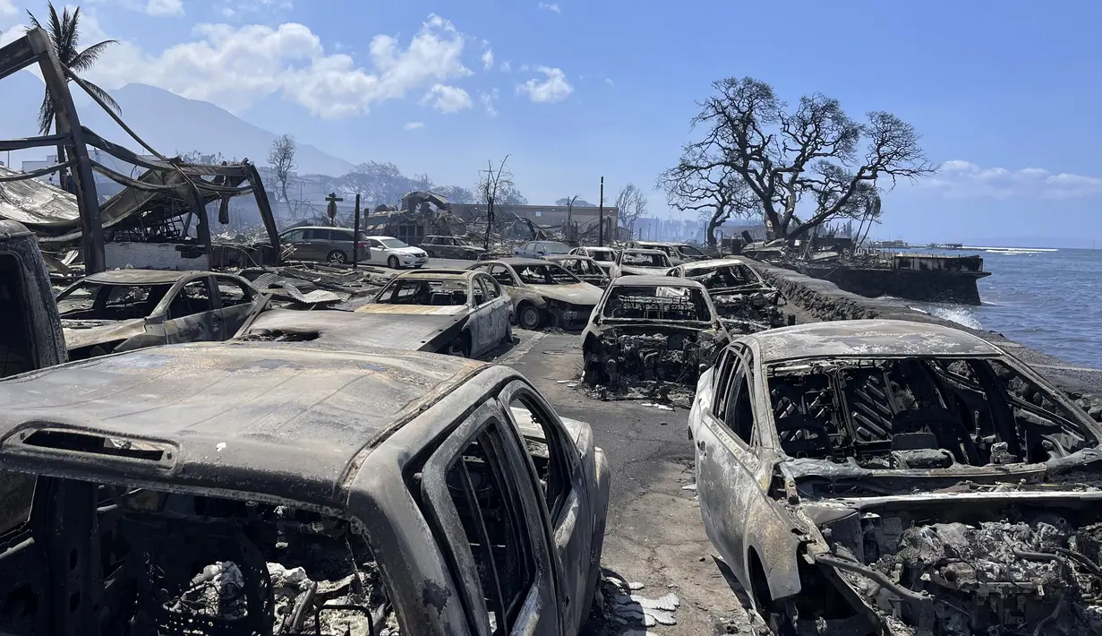 Diketahui, api mulai muncul pada Selasa (8/8) malam dan membuat warga harus bergegas untuk melarikan diri.  (AP Photo/Rick Bowmer)