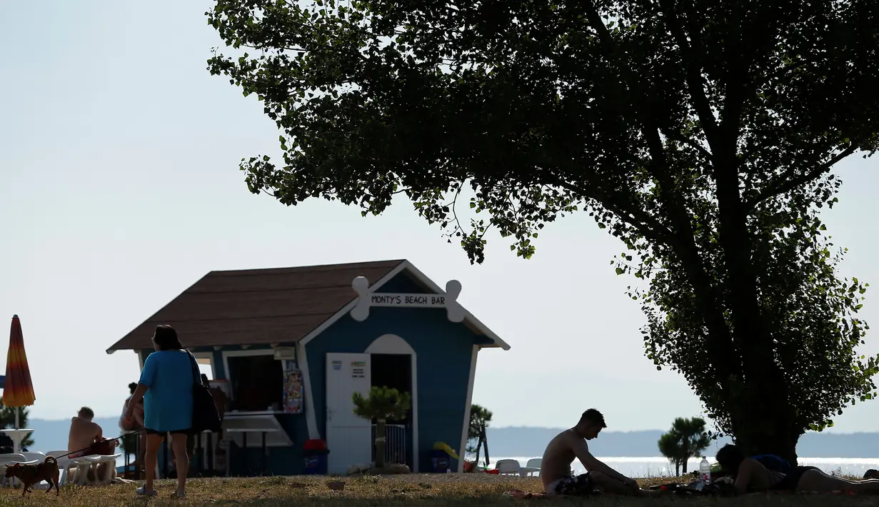 Suasana pantai anjing dan bar di Crikvenica, Kroasia, (12/7). Pantai dan bar ini dirancang khusus untuk para anjing dan pemiliknya demi merasakan kenikmatan Summertime bersama-sama. (REUTERS/Antonio Bronic)