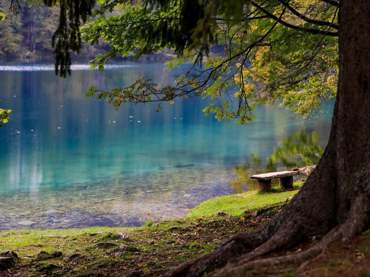 5. Waduk Cacaban