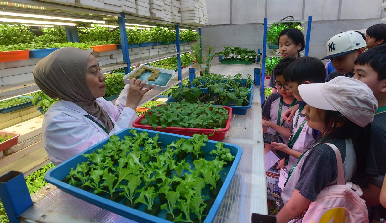 Siswa dari salah satu sekolah dasar menyimak penjelasan terkait pola dan sistem pertanian hidroponik di Ladang Farm, Lebak Bulus, Jakarta, Kamis (30/4/2026). Ladang Farm, kebun pertanian perkotaan vertikal setinggi 18 meter yang berlokasi di Lebak Bulus, Jakarta (Ladang Farm), kini menjadi pusat agro eduwisata. (merdeka.com/Arie Basuki)