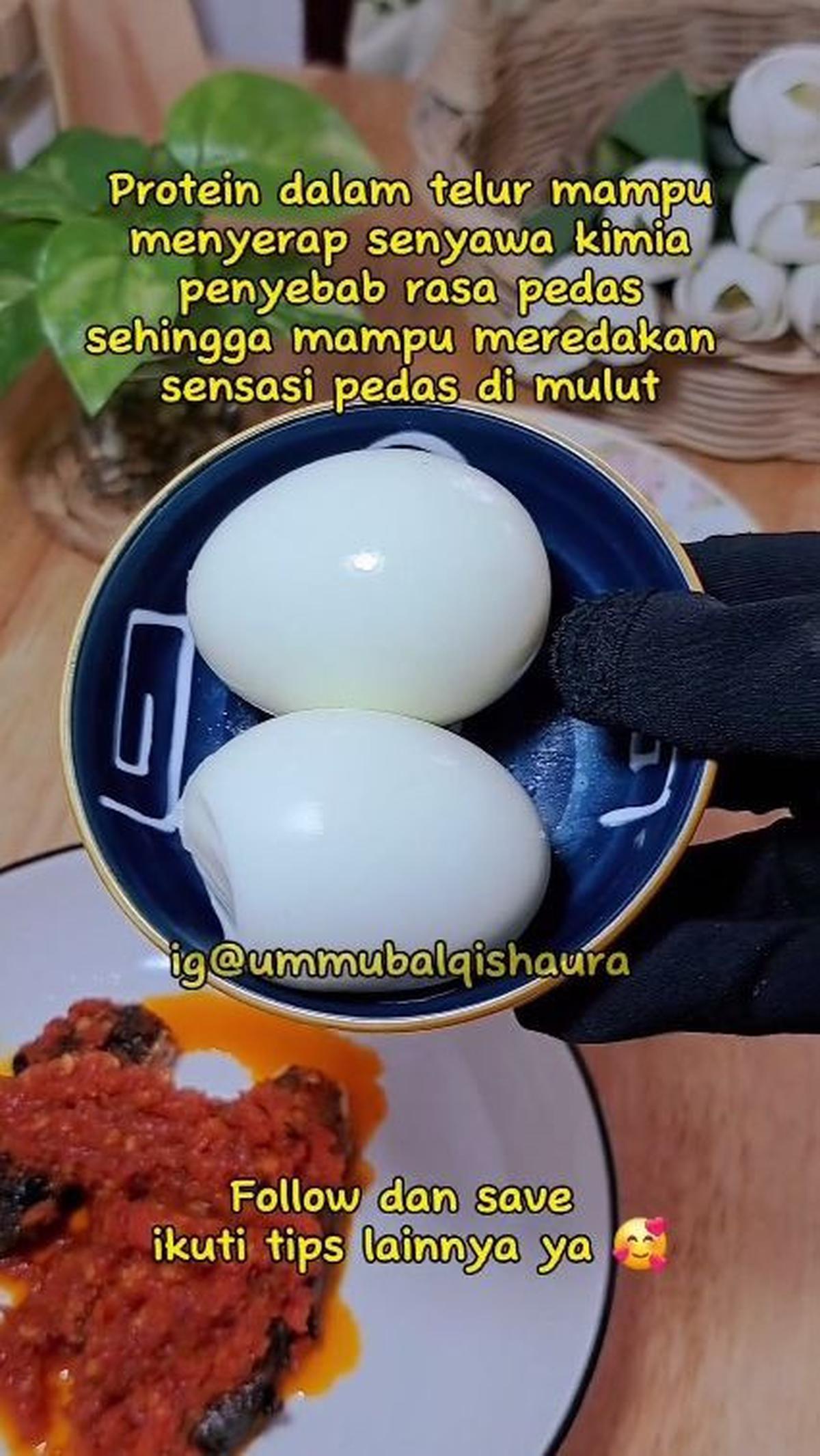 Protein pada Telur Rebus Dapat Hilangkan Pedas