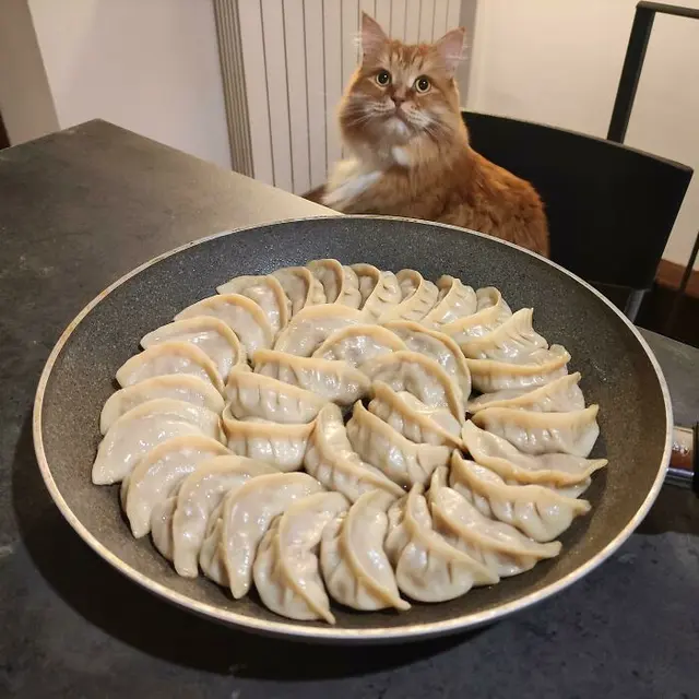 Plating Rapi, 6 Makanan Estetik Manjakan Mata Ini Terlihat Seperti Lukisan 3D