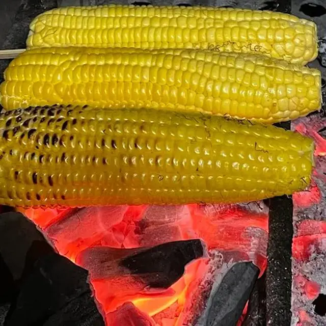 Jagung bakar kebonan (Google Maps/Suardi,Mr)