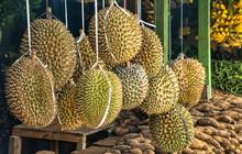 Ekspor Durian RI ke China Terus Naik, Nilainya Tembus Miliaran Rupiah
