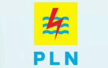 PLN Catatkan Pendapatan Rp281 Triliun di Semester I 2025, Ekonom Apresiasi Kinerja Keuangan PLN yang Solid