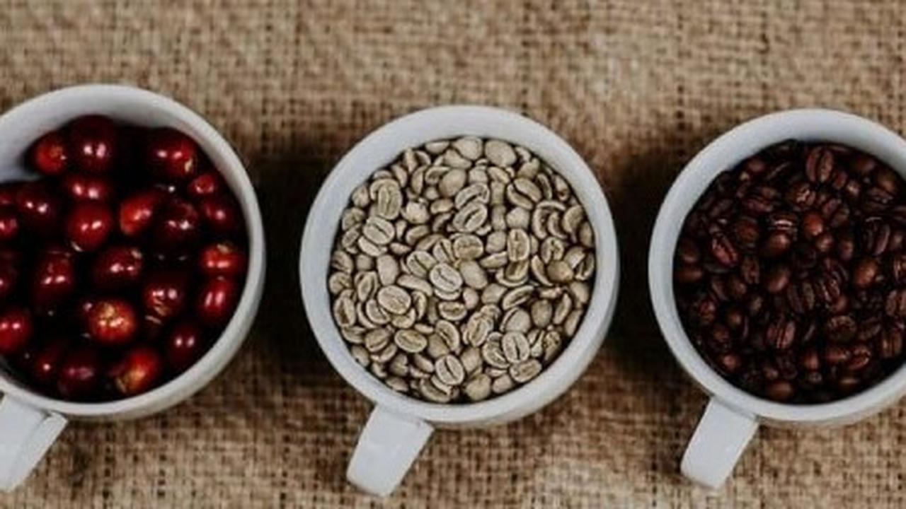 ilustrasi kopi
