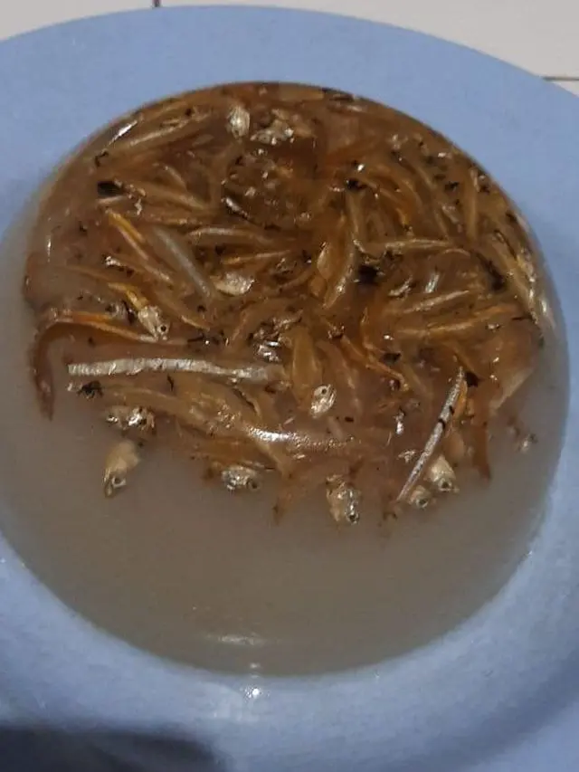 6 Potret Agar-Agar dengan Isian Tak Masuk Akal, Nyeleneh Banget