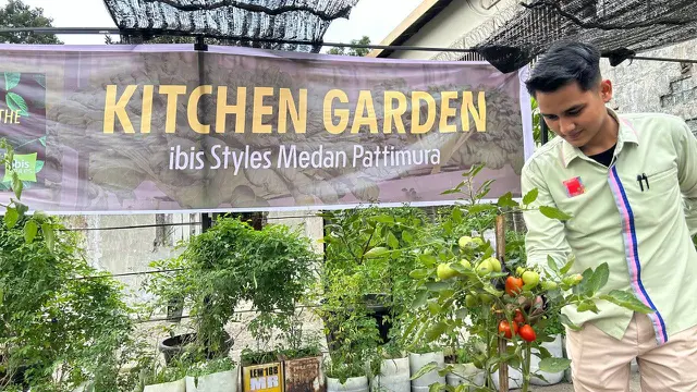 Kitchen Garden