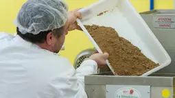 Pekerja "L'Atelier a pates" (toko pasta) ketika mengolah tepung serangga dari belalang dan jangkrik menjadi pasta khusus di Thiefosse, Prancis, 8 Februari 2016. Pasta serangga ini dibanderol sekitar Rp 97 ribu per 250 gram (JEAN-Christophe Verhaegen/AFP)