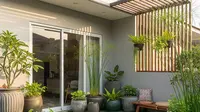 5 Jenis Tanaman Murah tapi Berdaun Indah untuk Teras Rumah, Mulai dari 5 Ribuan!