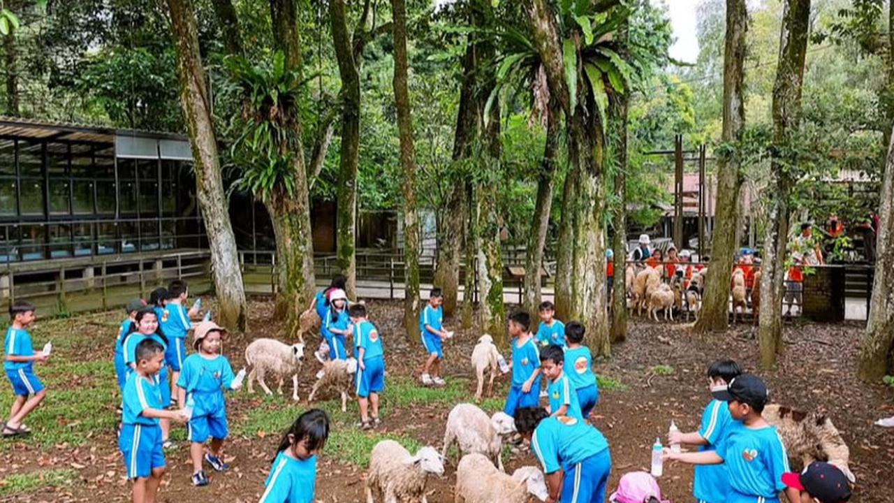 Kuntum Farmfield