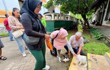 Heboh Kabar Pembuangan Kucing di Lawang Sewu, Manajemen Buka Suara