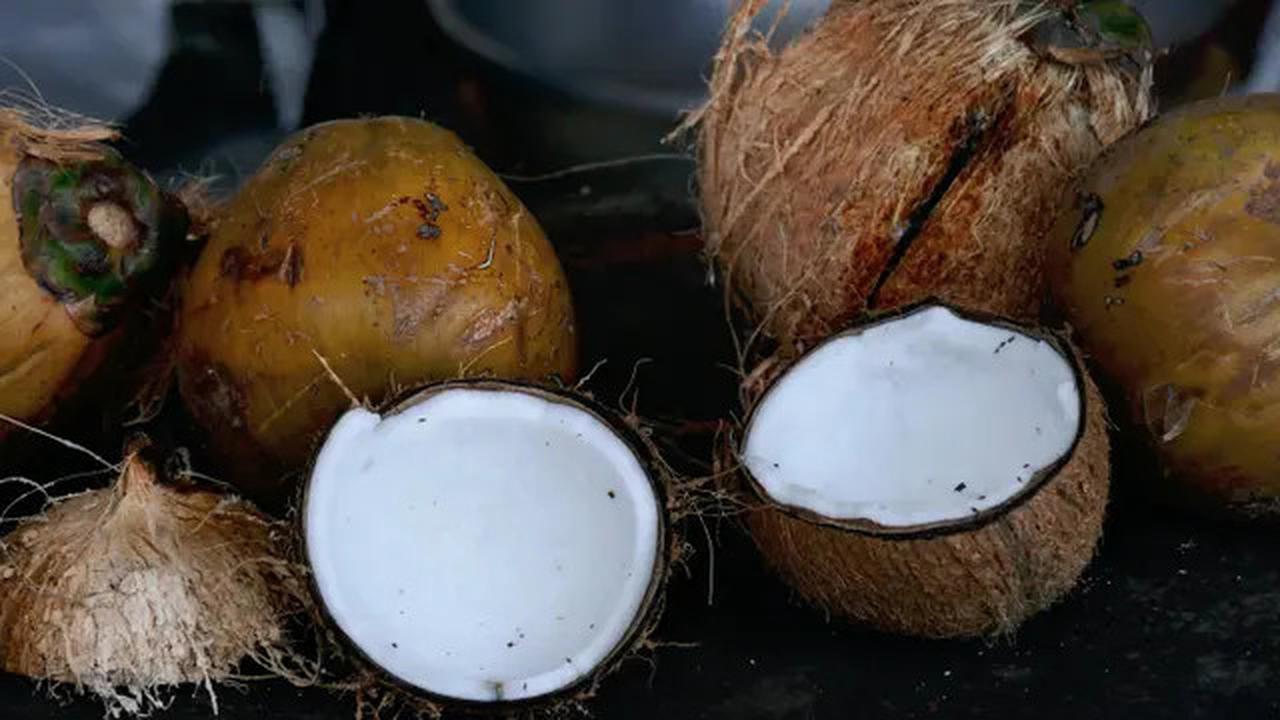 4 Manfaat Santan untuk Rambut Sehat dan Berkilau dan Cara Menggunakannya