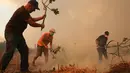 Warga menggunakan pohon ara memadamkan api yang mendekati rumah-rumah di desa Sao Jose das Matas, dekat Macao, Portugal tengah, (26/7). (AP Photo / Armando Franca)