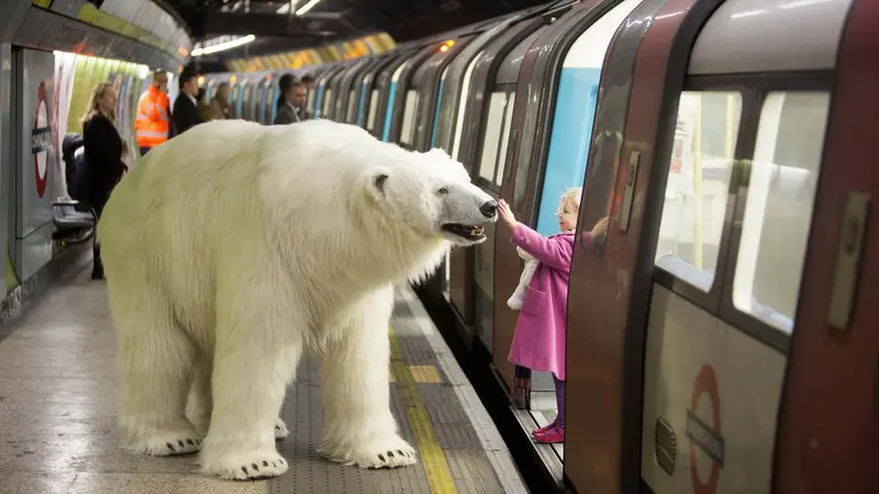Beruang Kutub Muncul di Kota London