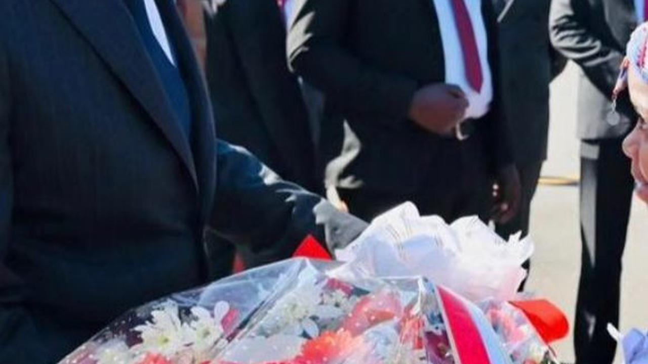 Tiba di Afrika Selatan, Jokowi Disambut Jajaran Duta Besar hingga Menteri Republik Kenya