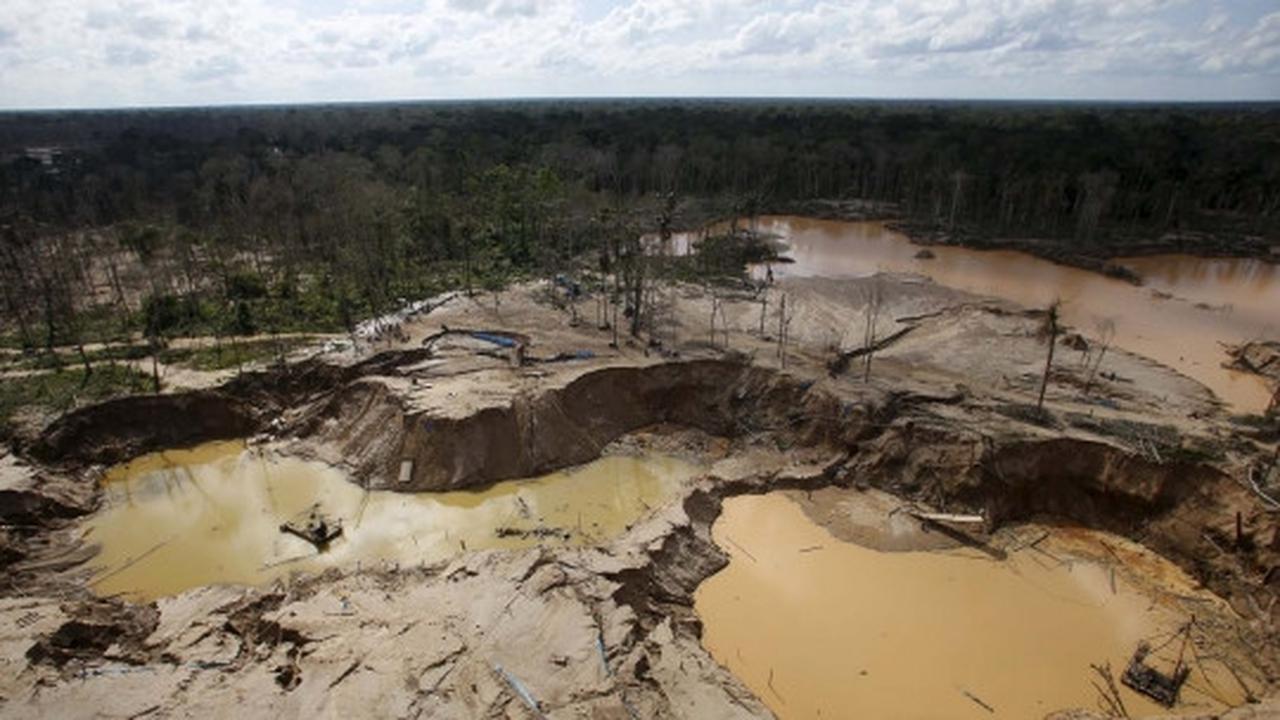 Begini kondisi hancur Hutan Amazon yang digerogoti tambang liar