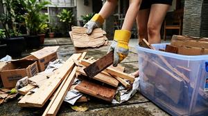 Cara Membersihkan Sisa Kayu dan Kardus Agar Tidak Mengundang Rayap, Cegah Rayap Bikin Sarang