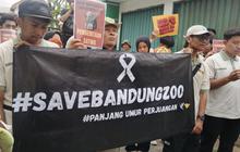 BBKSDA Jabar Turun Tangan Imbas Stok Pakan Bandung Zoo Krisis