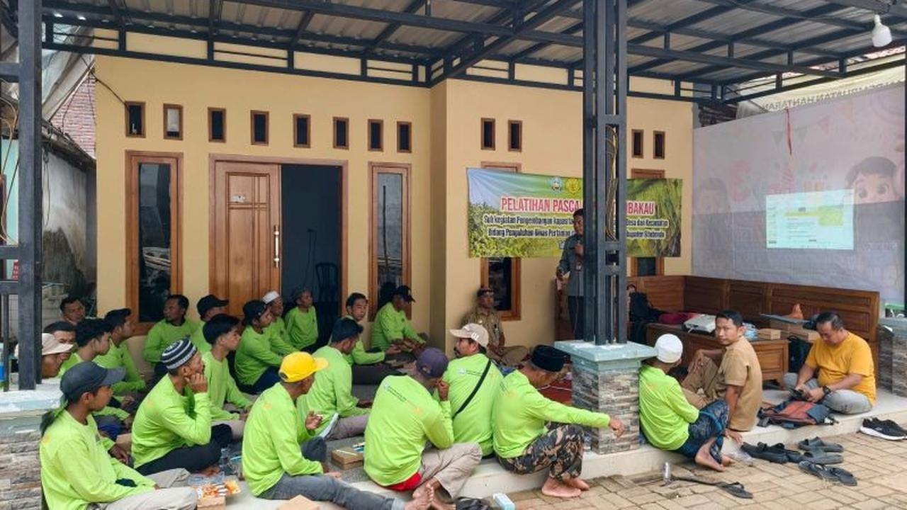 Tingkatkan Kualitas, Pemkab Situbondo Konsisten Beri Pelatihan Petani Tembakau