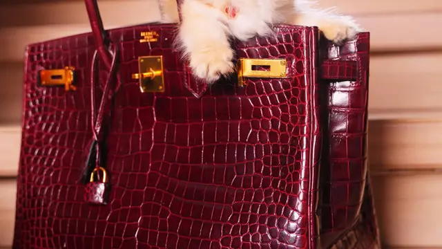 Gaya Slay Tasya Farasya Tampil Serba Merah saat Ambil Rapor Anak, Jinjing Tas Hermes Rp1,2 Miliar