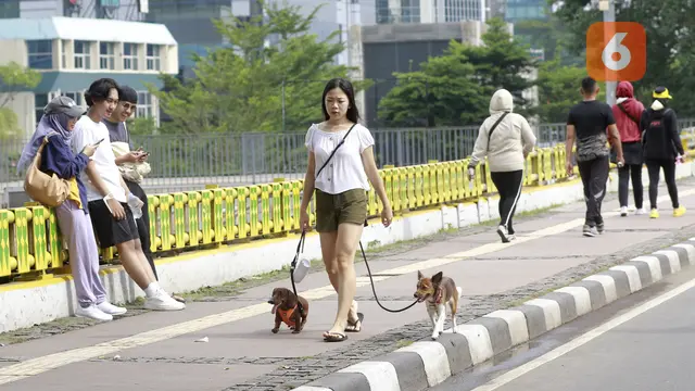 Foto: Ragam Cara Warga Menikmati Car Free Day di Jakarta