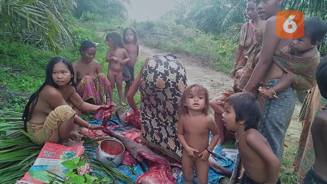 Orang Rimba Jambi