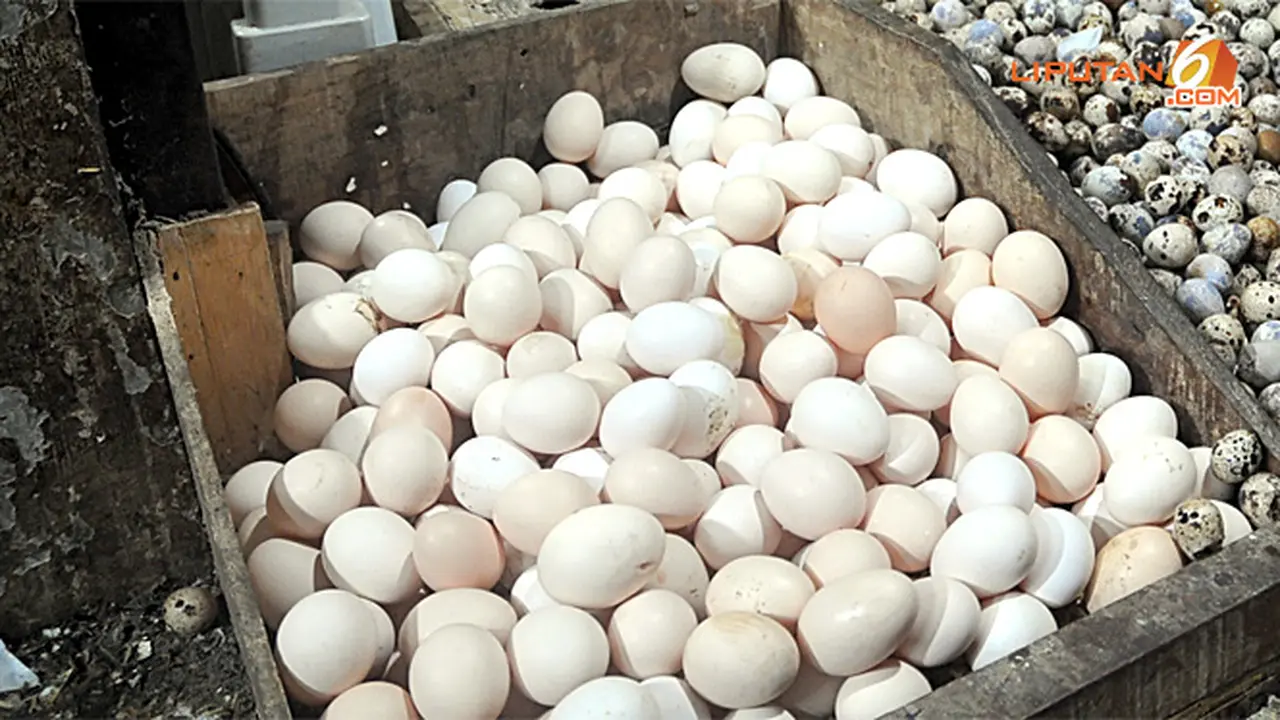 telur-arab130625b.jpg