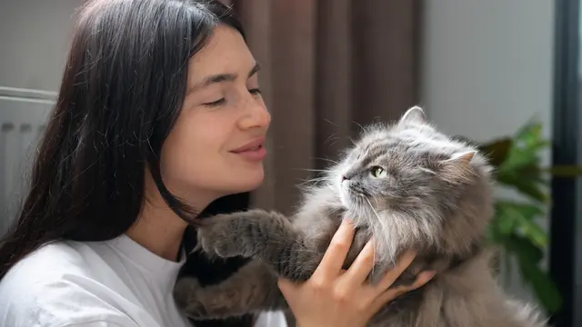 Cat and Owner