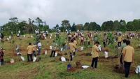 KLH Rintis Arboretum di Puncak Bogor demi Pulihkan Hulu DAS Ciliwung, Dimulai dari Tanam 350 Bibit Pohon Endemik