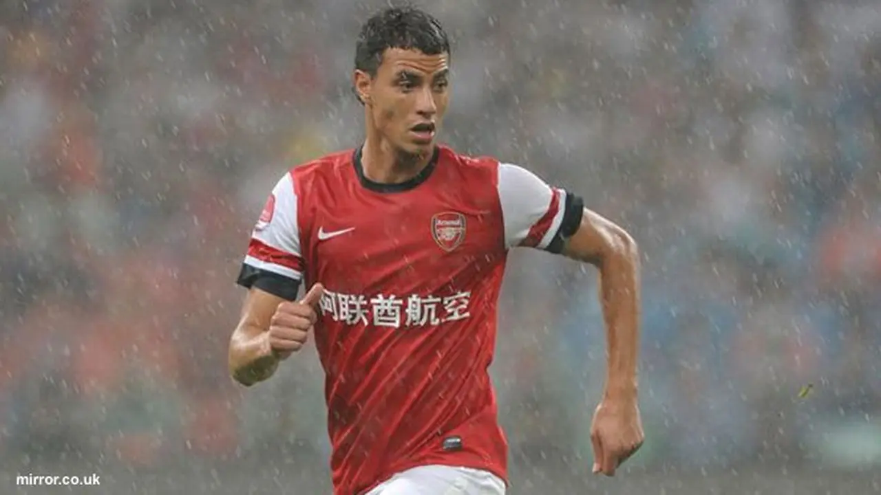 chamakh-130804c.jpg