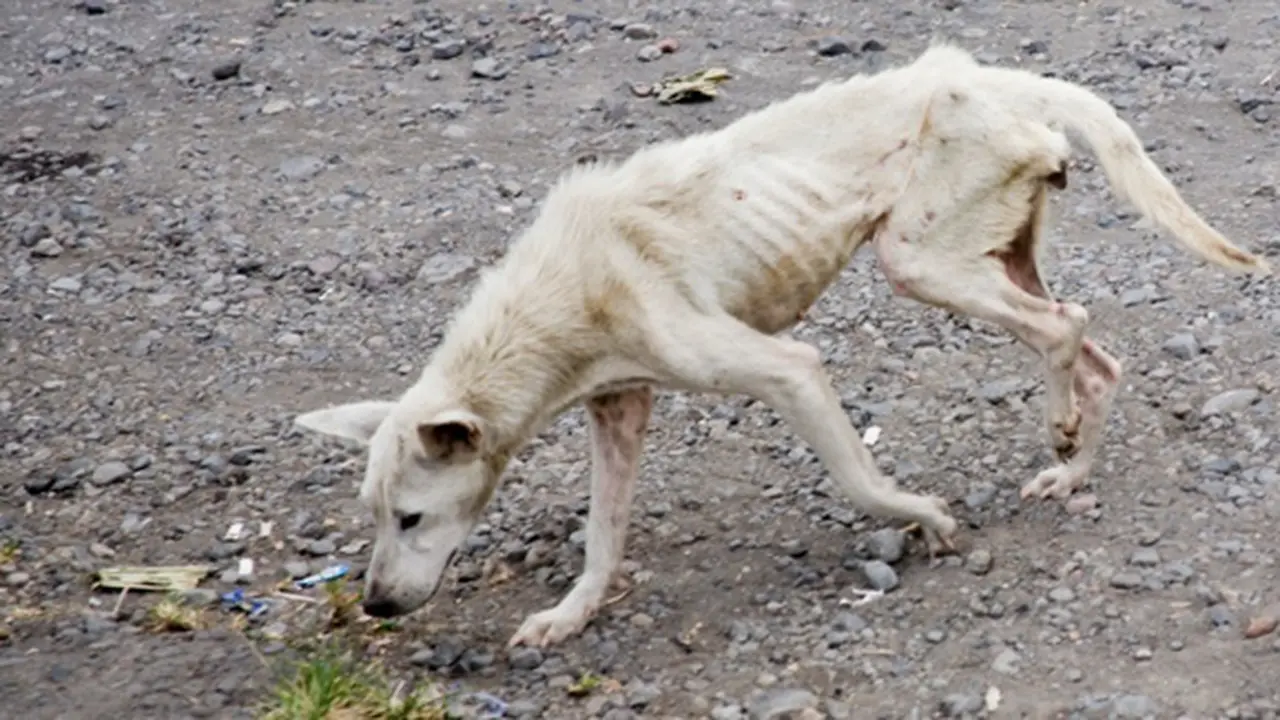 Foto: copyright thinkstockphotos.com
