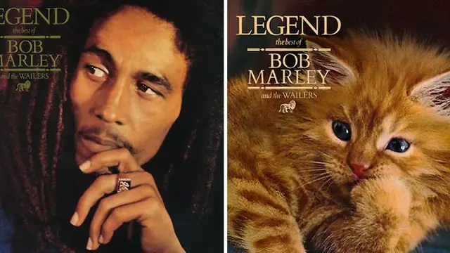 Gaya Kucing Saat Parodikan Cover Album Ini Bikin Gemes