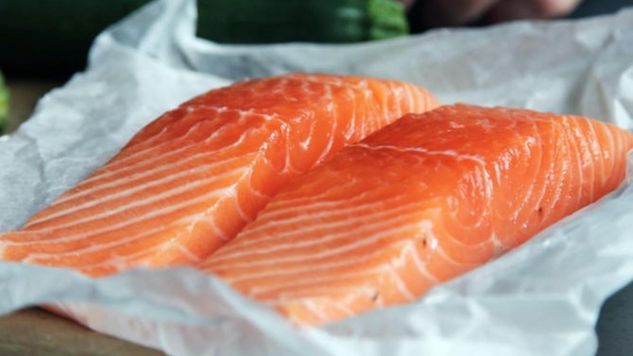 Gambar Ilustrasi Ikan Salmon
