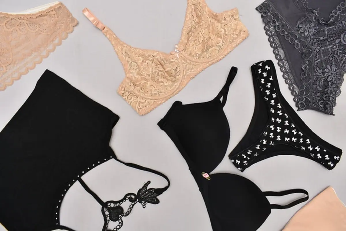 Ilustrasi Lingerie