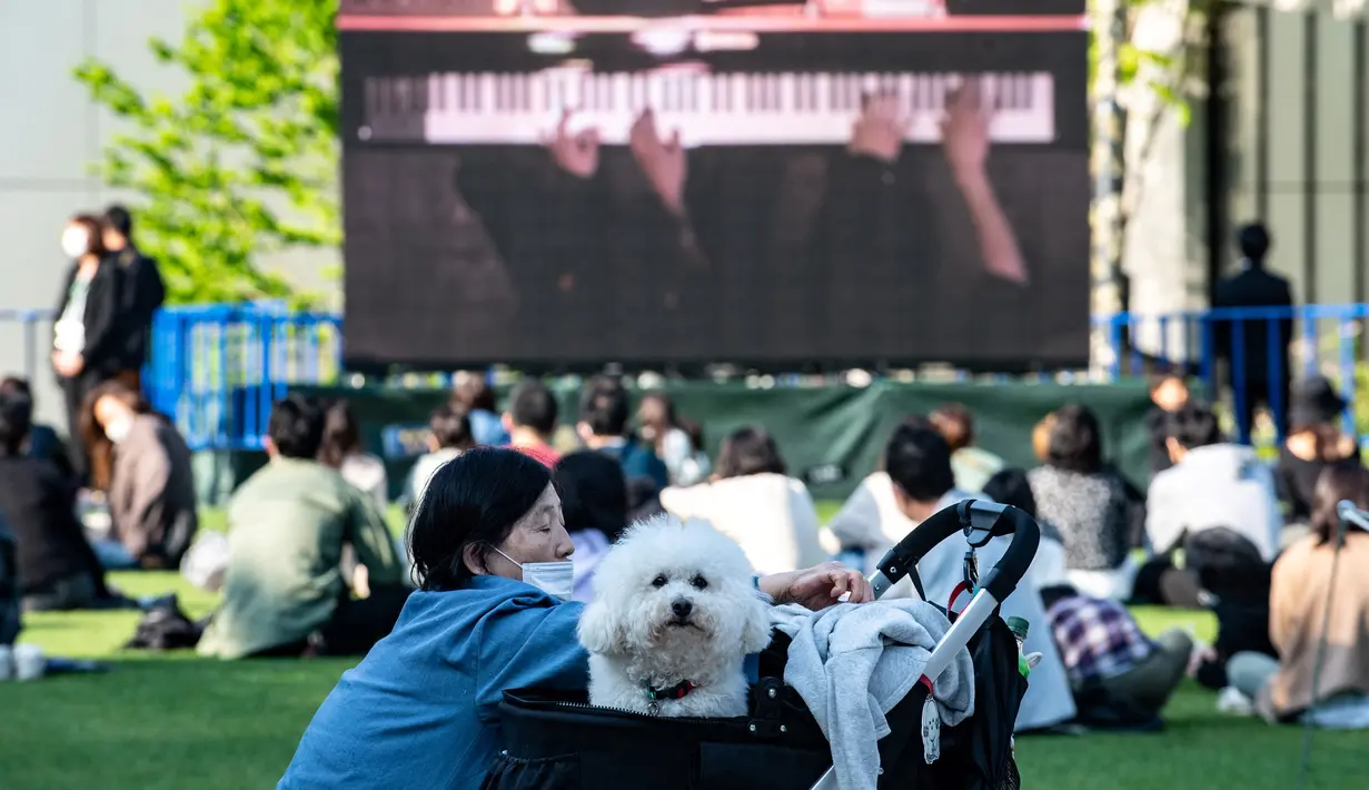 Seekor anjing melihat keluar sebagai layar yang menampilkan duo piano Les Frères memainkan konser "The Pianist Special", dimainkan di dalam ruangan dan secara bersamaan disiarkan ke area terbuka pusat perbelanjaan di Tachikawa, Tokyo (11/4/2021). (AFP Photo/ Philip Fong)