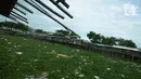 Suasana Kali Prancis yang dipenuhi enceng gondok di Dadap, Tangerang, Banten, Selasa (23/11/2021). Kali yang dipenuhi sampah dan eceng gondok (Eichhornia crassipes) menimbulkan bau tidak sedap bagi masyarakat sekitar dan membuat aliran menjadi terhambat. (merdeka.com/Imam Buhori)