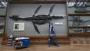 Seorang staf memperbaiki warna pada sebuah fosil yang dipajang di Hintze Hall, Museum Sejarah Alam, London, Inggris, Senin (27/7/2020). Museum Sejarah Alam London akan kembali dibuka mulai 5 Agustus mendatang. (Xinhua/Han Yan)