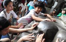 Anak-anak penyandang difabel kunjungi Museum Nasional