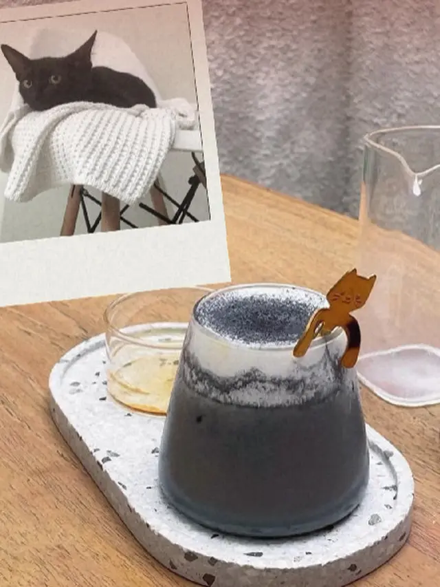 Kenalan dengan Momo, Si Kucing Manajer 'Sibuk' di Kafe Bergaya Japandi di Jaksel
