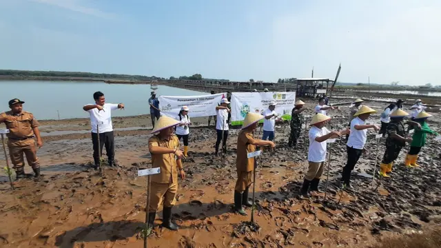 PT PLN (Persero) melakukan penanaman pohon serentak di unit-unit kerja se-Indonesia untuk memperingati Hari Menanam Pohon Indonesia (HPMI) 2022. (Dok PLN)