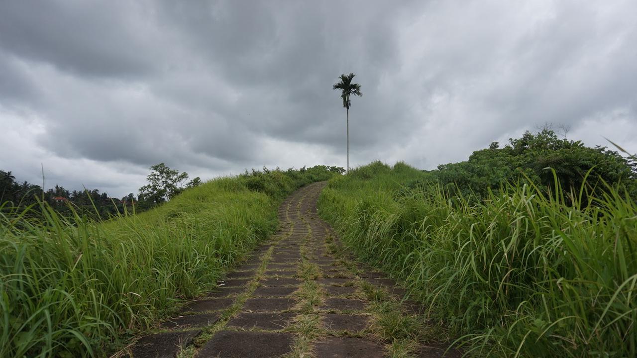 Salah satu sudut di Ubud Bali