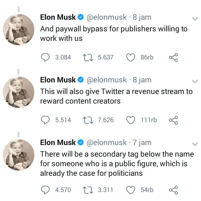 Elon Musk (Foto: Screenshot Twitter @elonmusk)
