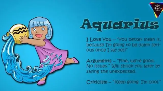 copyright by fireflydaily.com